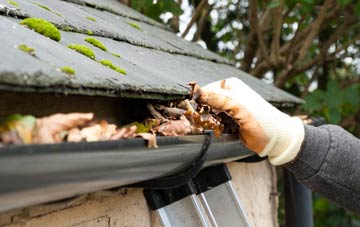 gutter cleaning Auldgirth, Dumfries And Galloway